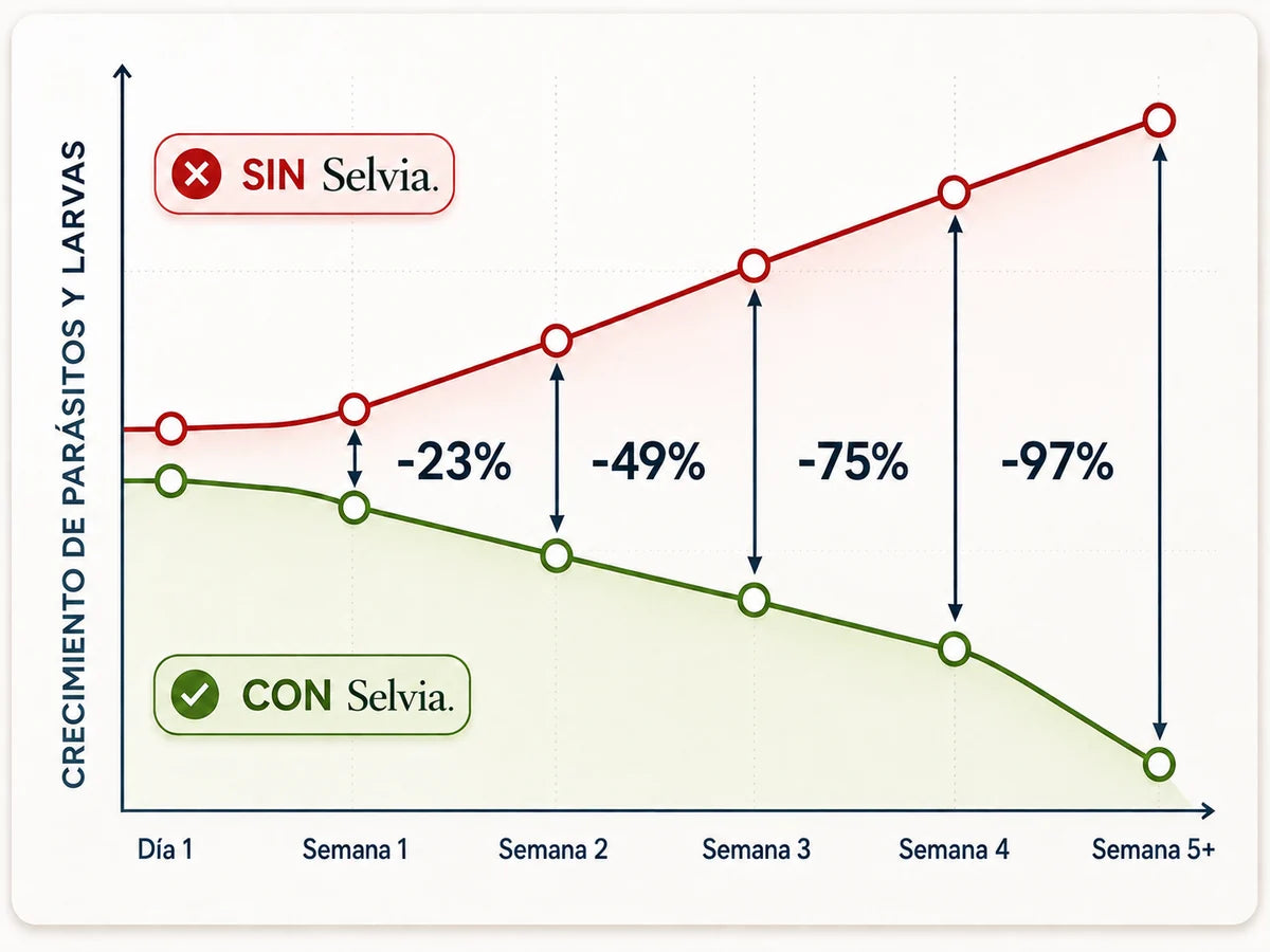 Selvia